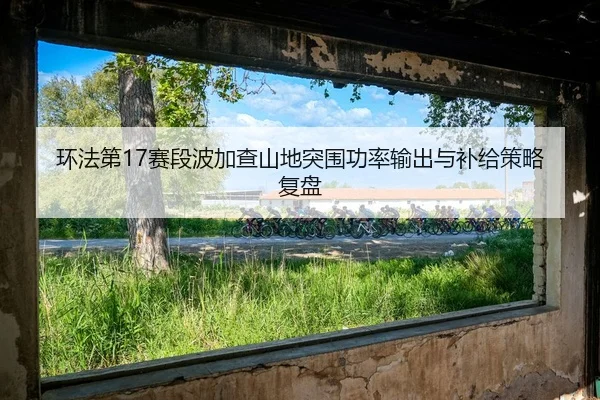 huan-fa-di-sai-duan-bo-jia-cha-shan-di-tu-wei-gong-lv-shu-chu-yu-bu-ji-ce-lve-fu-pan-3-946.jpg