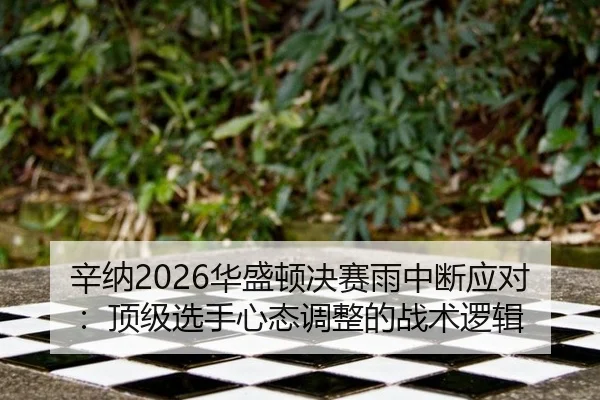 辛纳2026华盛顿决赛雨中断应对：顶级选手心态调整的战术逻辑